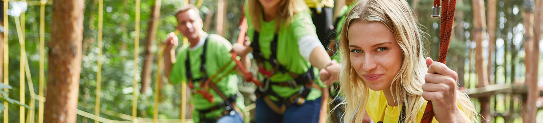 Hire a Risk Expert